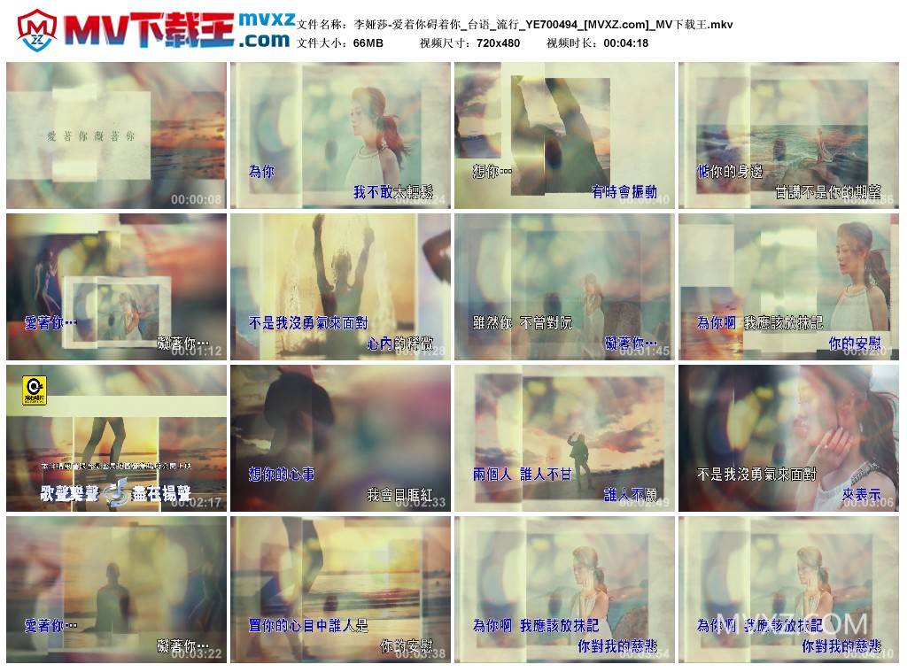 李娅莎-爱着你碍着你_台语_流行_YE700494